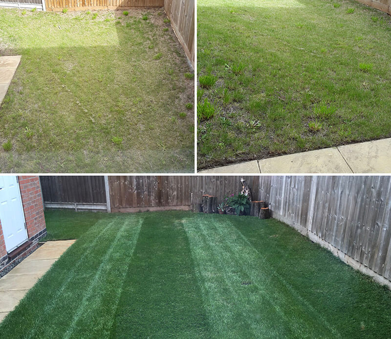 Lawn Care Essex Lawn Renovation Elite Lawns Essex